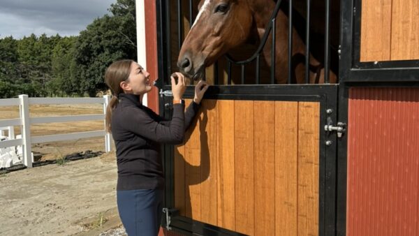 本厩舎　Main stable